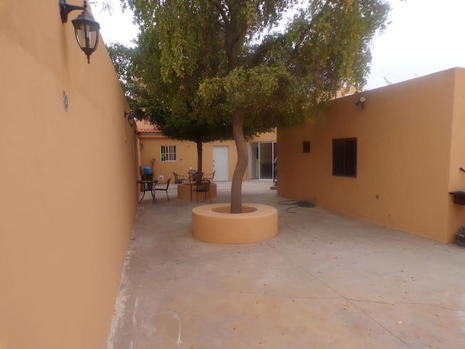 Apartamento 12 Con Dos Camas , A 200 Mts Del Vado Del Rio , Cerca Del Centro De Gobierno , Internet De Alta Velocidad Hermosillo Kültér fotó